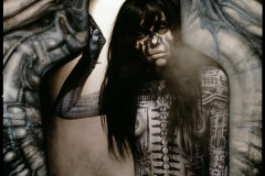 Deb Giger Metal Cover